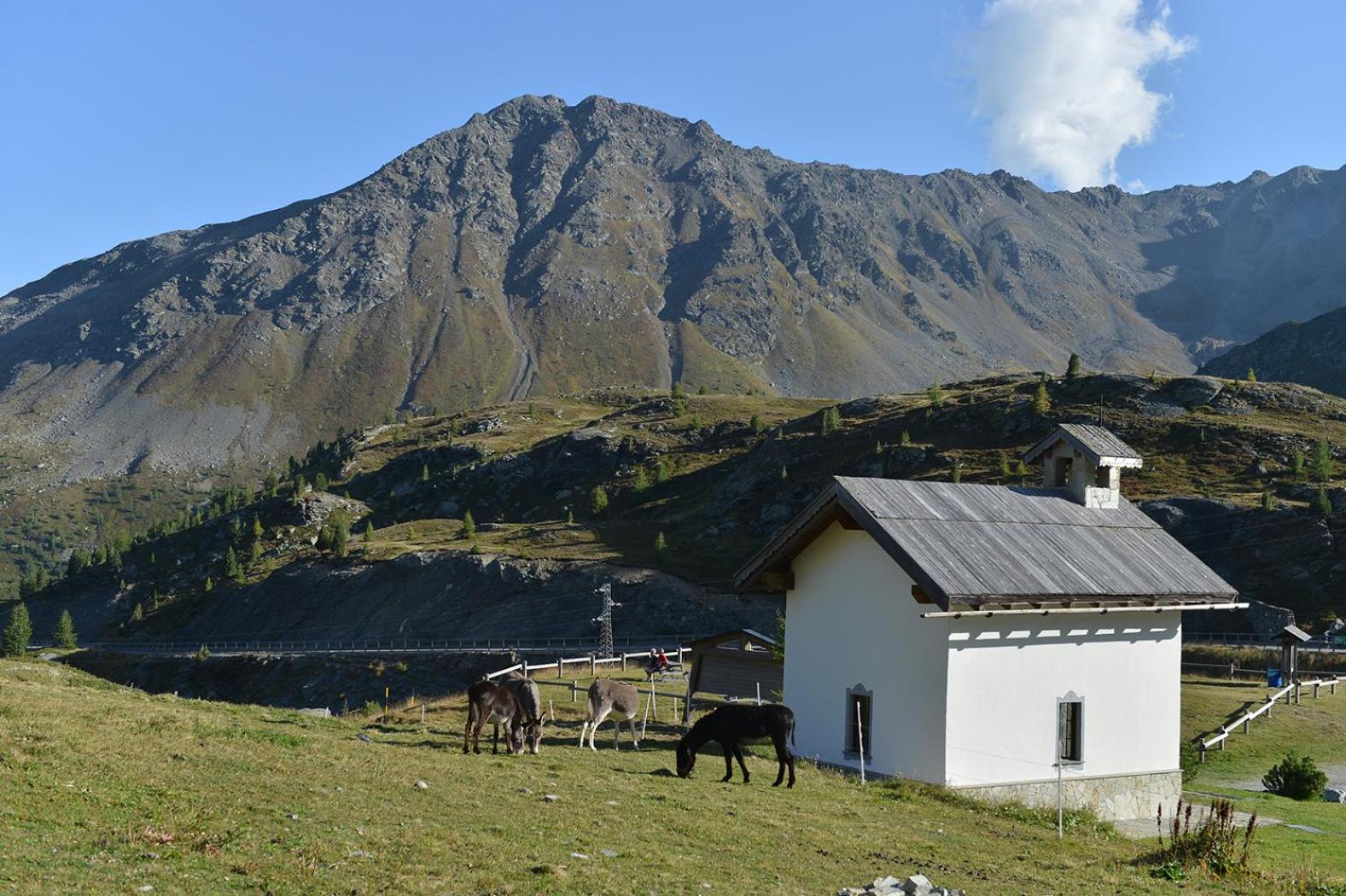 Hotel Interalpen イゾラッチャ エクステリア 写真